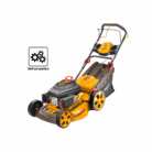 Gasoline lawn mower2
